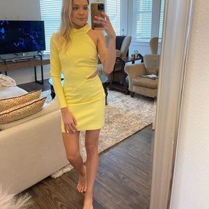 REVOLVE X Elliot Brand Cocktail Bodycon Dress